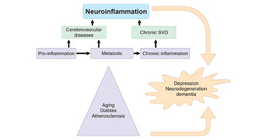 神經炎癥的來源