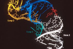 無(wú)細(xì)胞蛋白表達(dá)